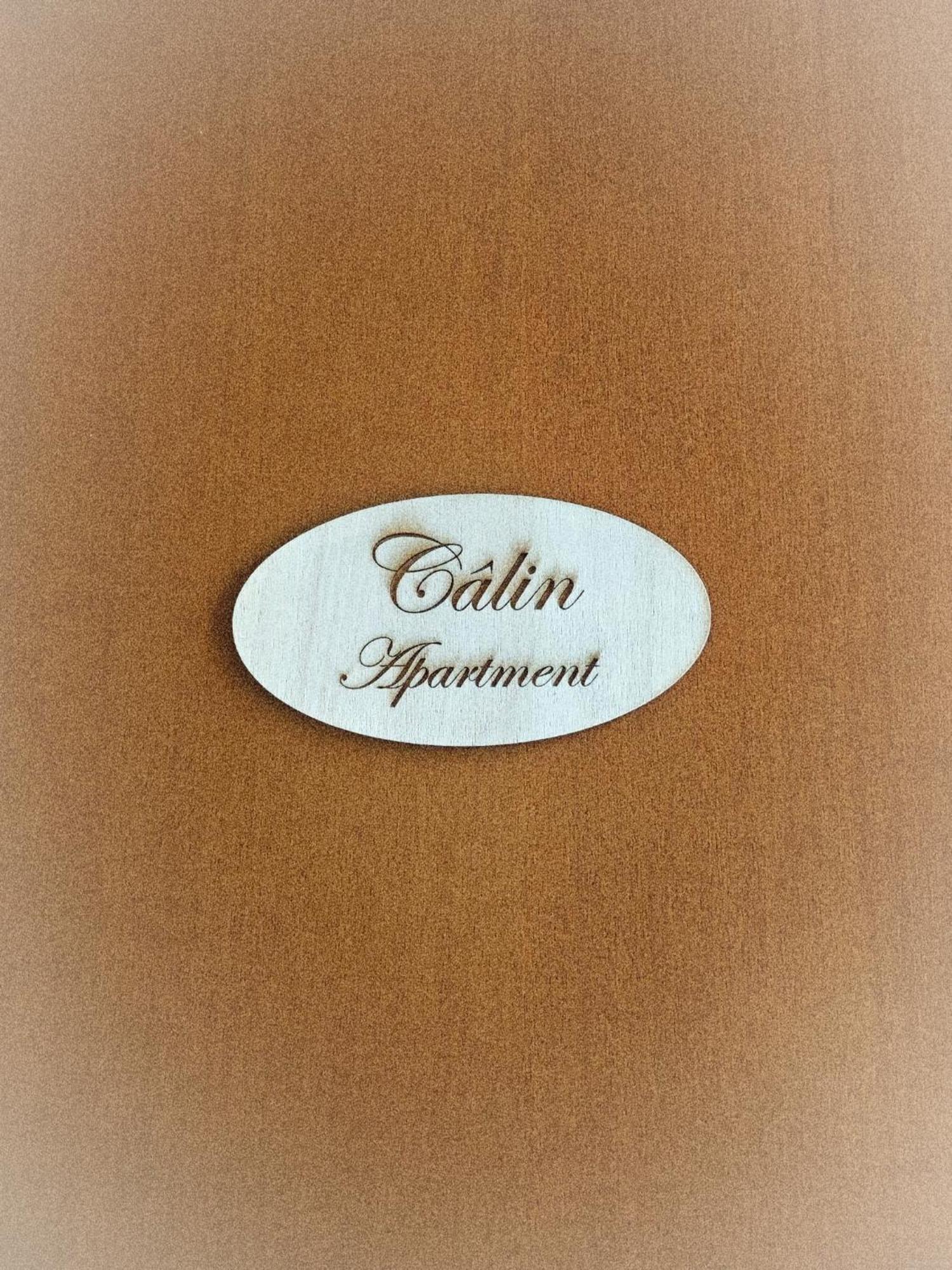 Calin Apartment Турин Экстерьер фото
