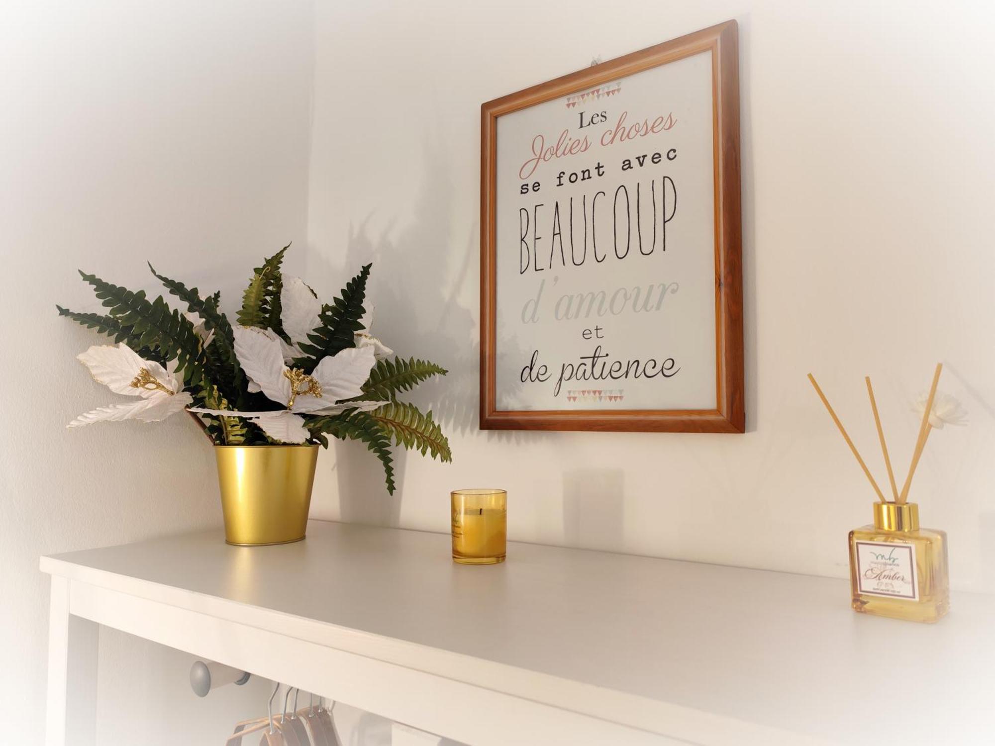 Calin Apartment Турин Экстерьер фото